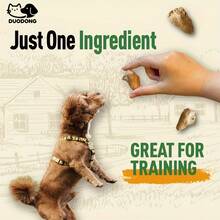 GOOGEER Freeze Dried Chicken Hearts For Cats & Dogs Treats, Single Ingredient - Perfect For Training, Topper Or Snack (Chicken Hearts), High In Protein, Grain-Free, Gluten-Free - 10.5盎司/300克 - 查看 5
