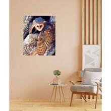 Barn Owl Bird Wildlife Animal Wall Decor Art Print Poster 16x20 - inicial - Ver 4