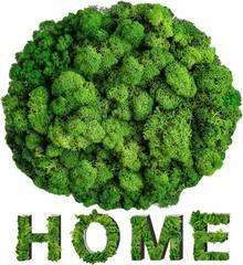 35 OZ Preserved Moss For Crafts - Sukh Green Reindeer Moss For DIY Art, Wall Decor, Indoor Projects, Decorative Fake Moss For Terrarium, Garden, Fairy Displays, Wall Art Easter Decor - White - View 1