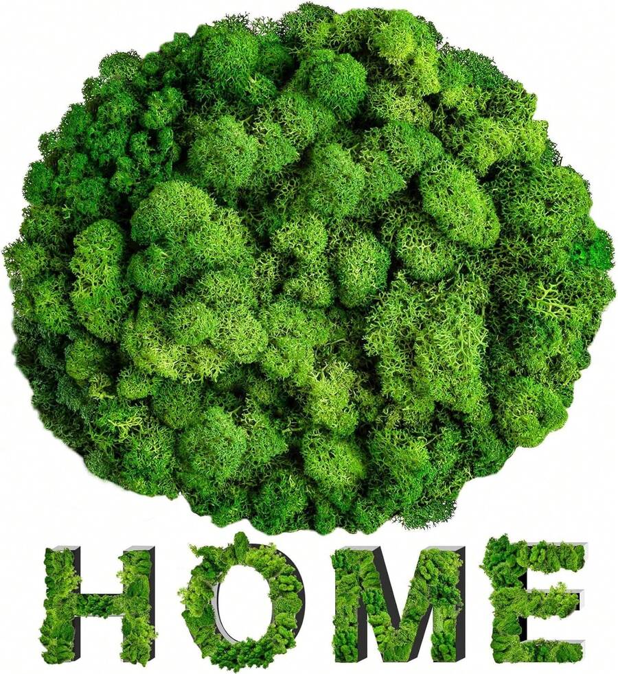 35 OZ Preserved Moss For Crafts - Sukh Green Reindeer Moss For DIY Art, Wall Decor, Indoor Projects, Decorative Fake Moss For Terrarium, Garden, Fairy Displays, Wall Art Easter Decor - White - View 1