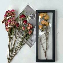 1pc Modern Minimalist Hollow Creative Dried Flower Photo Frame (Plastic), 3D Dried Flower Display Stand, DIY Floating Frame (Non-Glass), Birthday/Graduation Gift, Dried Flower, Necklace Jewelry Sample Display Rack - White - View 2