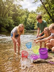 1pc/1set 6 Colors Available Fishing Net/Folding Bucket Stainless Steel Telescopic Fishing Net, Fish Scoop Net, Small Net Insect Net Fishing Net Shrimp Net Reusable Outdoor Tool Soft Mesh Fabric Does Not Harm Small Fish Suitable For Multiple Scenarios - Multicolor - View 5