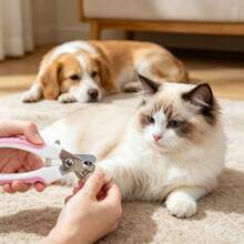 Tagliacristalli universale per unghie di animali domestici per gatti e cani, tagliacristalli in acciaio inossidabile blu, tagliacristalli con manico dritto per unghie e artigli di cani e gatti, strumento per la toelettatura degli animali, forniture per animali domestici, forbici, tagliacristalli, adatto per cani e gatti di piccola taglia, manico antiscivolo, taglio preciso, strumento professionale per la toelettatura silenzioso, tagliacristalli manuale resistente alla corrosione, uso domestico - A - Visualizzare 1