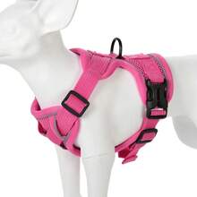 Reflective Dog Harness, Breathable Leash Set For Small And Medium Dogs And Cats, Pet Accessories - White - View 5