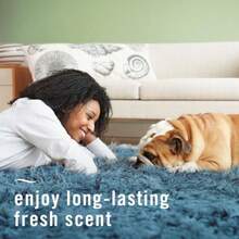 Febreze Fabric Spray Air Freshener, Odor-Fighting Fabric Refresher, Sneaker Balls Alternative, Couch Cleaner, Linen Spray, Multi-Use, Pet Odor Fighter Scent, 23.6 Fl Oz - Pet Fresh - View 5