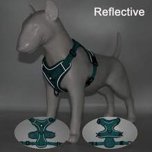 Reflective Dog Harness, Breathable Leash Set For Small And Medium Dogs And Cats, Pet Accessories - White - View 10