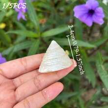 6pcs Pearl White Snail Shells | Crab Habitat Replacement Shells Aquarium Bottom Sand Decoration (INS Style Home Decor/Handmade Jewelry Material) Cleaned - Pearlescent White - View 4