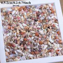 Mini Shell Assortment | 9.5cm Boxed Small Sea Shells - Random Colors And Patterns, Suitable For Fish Tank And Aquarium Landscaping, DIY Shell Wind Chime Home Decor, Ocean Theme Party Decoration - Random Color - View 3
