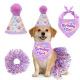 Cumpleaños morado