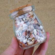 Mini Shell Assortment | 9.5cm Boxed Small Sea Shells - Random Colors And Patterns, Suitable For Fish Tank And Aquarium Landscaping, DIY Shell Wind Chime Home Decor, Ocean Theme Party Decoration - Random Color - View 5