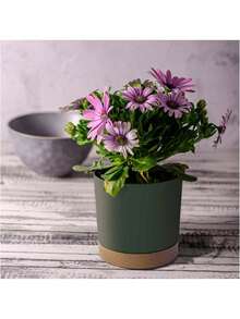 1pc 23.9cm Green Plastic Garden Pot With Removable -Friendly Wood Blend Saucer, Minimalist And Elegant Round Planter Resistant To Damage And Chemicals, Easy To Clean For Indoor And Outdoor Use - A - View 3