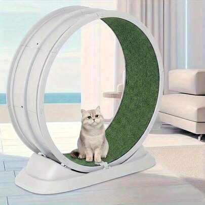 Cat Treadmill - Plastic Pet Treadmill For Indoor Cat Exercise & Play, No Battery Needed, All Breed Sizes, Cat Toy | Playful Cat Equipment | Durable Plastic
