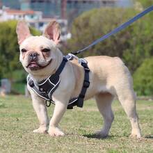 Reflective Dog Harness, Breathable Leash Set For Small And Medium Dogs And Cats, Pet Accessories - White - View 8