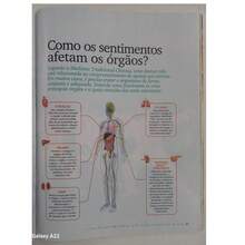 Livro MEDICINA CHINESA + 2 Livros Q Curam : ERVAS e VITAMINAS - Livro único - Visão 4
