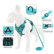 Reflective Dog Harness, Breathable Leash Set For Small And Medium Dogs And Cats, Pet Accessories - White - View 4