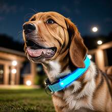 Glowing LED Pet Collar, Battery Powered, Polyester Reflective Dog Walking Necklace, Voltage ≤36V, Nighttime Visibility Safety Accessory - Multicolor - View 22