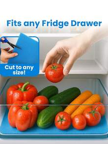 3PCS Blue/Green Refrigerator Drawer Liners, Prolong The Freshness Of Fruits And Vegetables Fridge Cooling Shelf Extenders, Kitchen Organization Tools For Refrigerators, Anti-Mold Filter Mesh Nets As Household Kitchen Utensils - 3pcs - View 6
