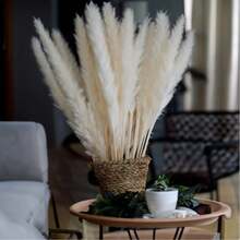 47PCS White Pampas Grass 17in/45cm – Dried Flower Stems For Wedding, Home, Garden, Party, Photography, Vase Decor - 47 PCS - View 9