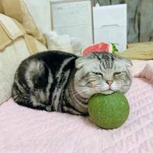 Extra Large Catnip Ball, High Density Compressed Cat Grass Ball, Long Lasting Cat Toy, Relieve Anxiety And Prevent Scratching Furniture - Multicolor - View 8