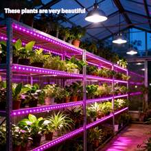 1入 LED 燈條 USB 植物生長燈，智慧燈條，全光譜蔬菜花卉多肉植物補光燈，輔助植物光合作用，USB 供電，使用方便 - 紫色 - 查看 10