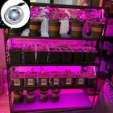 1pc LED Plant Grow Light, Full Spectrum Supplemental Lighting For Plant Growth, Indoor Use - 紫色 - 查看 2
