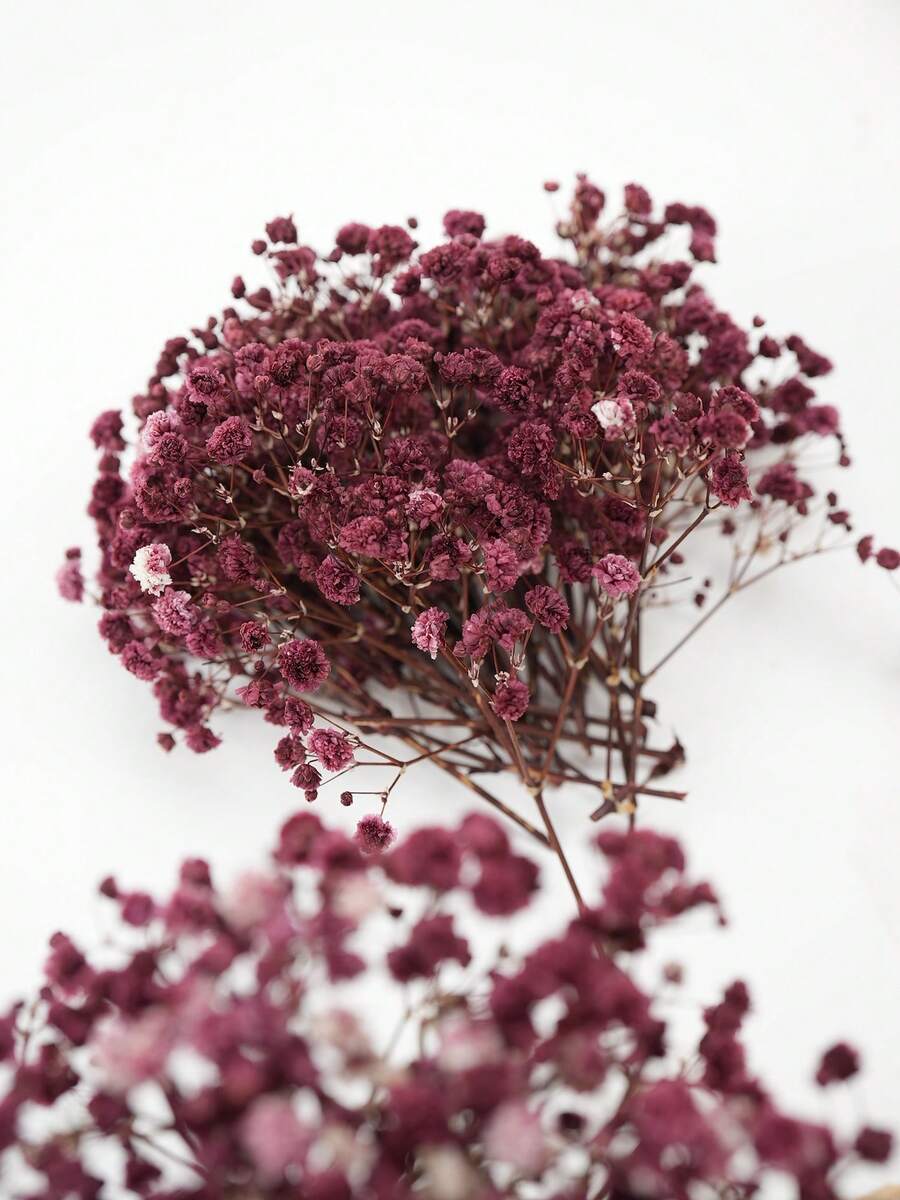 25/50/100/300pcs Luxury Artificial Breathing Flowers, Realistic Long-Lasting Starry Sky Flower Bunches - Perfect For Home, Outdoor, Office, Garden, Wedding, Party, Shop Decor, Also Ideal For Bridal Bouquets, DIY Crafts, Tabletop Decor, Romantic Decorations, Suitable For All Seasons, Can Be Used For Home Decor, Back To School Room Decor And School Supplies. - Reddish Brown - View 1