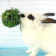 Hanging Small Animal Feeding Ball Plastic Hay Feeder Toy For Rabbit Guinea Pig And Hamster - View 12
