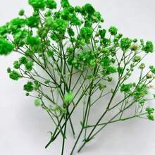 50/100/200 piezas de Gipsófila artificial mini, adecuada para arreglos florales de boda, decoración de fiestas, cumpleaños, decoración de jardín al aire libre, decoración del Día de la Madre, decoración del Día de San Valentín, regalos, decoración de graduación - Aliento de bebé verde - Ver 1