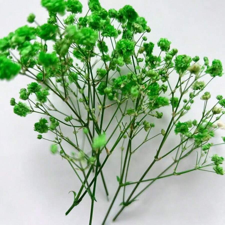 50/100/200 piezas de Gipsófila artificial mini, adecuada para arreglos florales de boda, decoración de fiestas, cumpleaños, decoración de jardín al aire libre, decoración del Día de la Madre, decoración del Día de San Valentín, regalos, decoración de graduación - Aliento de bebé verde - Ver 1