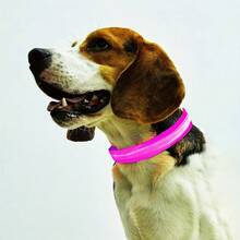 Glowing LED Pet Collar, Battery Powered, Polyester Reflective Dog Walking Necklace, Voltage ≤36V, Nighttime Visibility Safety Accessory - Multicolor - View 28