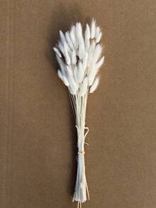 30-240支 44cm 人造兔尾草，仿真兔尾草莖，適用於波希米亞風花藝布置、DIY手工、居家廚房與婚禮裝飾、聖誕裝飾、感恩節裝飾、DIY花環裝飾 - 白色兔尾草1 - 查看 3