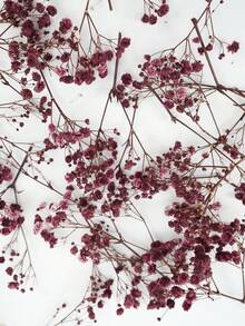 25/50/100/300pcs Luxury Artificial Breathing Flowers, Realistic Long-Lasting Starry Sky Flower Bunches - Perfect For Home, Outdoor, Office, Garden, Wedding, Party, Shop Decor, Also Ideal For Bridal Bouquets, DIY Crafts, Tabletop Decor, Romantic Decorations, Suitable For All Seasons, Can Be Used For Home Decor, Back To School Room Decor And School Supplies. - Reddish Brown - View 6