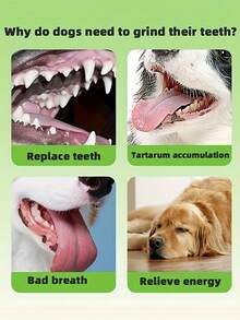 Juguete de Masticar Resistente y Fuerte para Perros - Hueso de Goma TPR, Adecuado para Perros Pequeños/Medianos, Limpieza de Dientes & Entrenamiento, Juguete de Masticar Interactivo para Aliviar el Aburrimiento y Prevenir el Masticado Destructivo, Regalo Ideal para Mascotas - Múltiples estilos - Ver 6