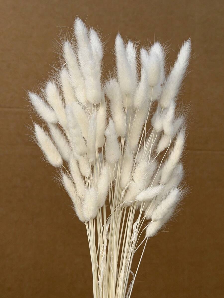 30-240支 44cm 人造兔尾草,仿真兔尾草莖,適用於波希米亞風花藝布置、DIY手工、居家廚房與婚禮裝飾、聖誕裝飾、感恩節裝飾、DIY花環裝飾 - 白色兔尾草1 - 查看 1