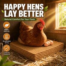 3/4/6/8 Packs Of Natural  Bedding/Egg Storage Box Lining/Suitable For Most  As Bedding Material - 6 Items - View 4