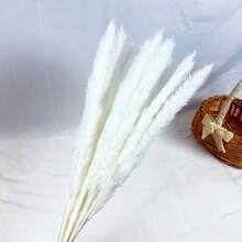 47PCS White Pampas Grass 17in/45cm – Dried Flower Stems For Wedding, Home, Garden, Party, Photography, Vase Decor - 47 PCS - View 3