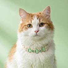 猫咪项链 猫咪饰品 奢华宠物配饰 猫咪绿色宝石仿珍珠项圈 博美比熊犬照片氛围项链 奢华风格宠物项圈 博美犬照片配饰 可调节 - 薄荷綠 - 查看 1