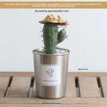 3‑Piece Rust‑Proof Metal Flower Pots, Industrial Minimalist Artistic Style, Silver Metallic Finish, Suitable For Cacti And Succulents, Indoor Desktop Ornaments, Home And Outdoor Garden Decorations - Instagram-worthy Bonsai Flower Pots - View 4