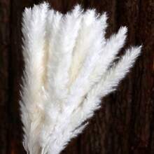 47PCS White Pampas Grass 17in/45cm – Dried Flower Stems For Wedding, Home, Garden, Party, Photography, Vase Decor - 47 PCS - View 5