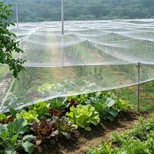 1pc 53.8-269sqft 60 Mesh Nylon Plastic Bird & Insect Proof Mist Netting, Garden Protection Net, Greenhouse Vegetable Insect Net - White Insect Netting - View 6