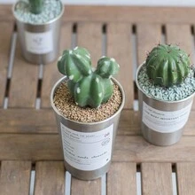 3‑Piece Rust‑Proof Metal Flower Pots, Industrial Minimalist Artistic Style, Silver Metallic Finish, Suitable For Cacti And Succulents, Indoor Desktop Ornaments, Home And Outdoor Garden Decorations - Instagram-worthy Bonsai Flower Pots - View 6