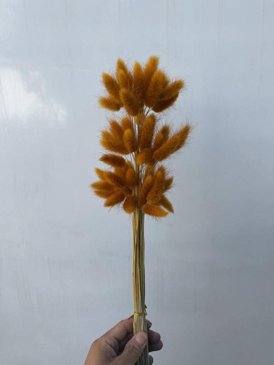 30/60/120/180/240 支 16.5 英吋人造兔尾草,人造兔尾草莖,適用於波希米亞風花藝布置、DIY 手作、居家廚房裝飾、婚禮裝飾、聖誕裝飾、聖誕感恩節裝飾、DIY 花環裝飾 - 深橙色兔尾草 - 查看 1