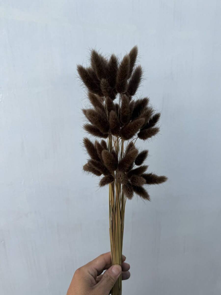 30/60/120/180/240 支 16.5 英吋人造兔尾草,人造兔尾草莖,適用於波希米亞風格花藝布置、DIY 手作、居家廚房裝飾、婚禮佈置、聖誕裝飾、聖誕感恩節佈置、DIY 花環裝飾 - 咖啡棕色兔尾草 - 查看 1