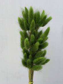 30-240 pcs Rumput Ekor Kelinci Tiruan 44 cm, Dekorasi Rumah, Batang Rumput Ekor Kelinci Tiruan, Cocok untuk Rangkaian Bunga Gaya Bohemian, Kerajinan DIY, Dekorasi Rumah Dapur dan Pernikahan, Dekorasi Natal, Dekorasi Thanksgiving, Dekorasi Karangan Bunga DIY - Rumput ekor kelinci hijau - View 4