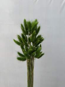 30-240 pcs Rumput Ekor Kelinci Tiruan 44 cm, Dekorasi Rumah, Batang Rumput Ekor Kelinci Tiruan, Cocok untuk Rangkaian Bunga Gaya Bohemian, Kerajinan DIY, Dekorasi Rumah Dapur dan Pernikahan, Dekorasi Natal, Dekorasi Thanksgiving, Dekorasi Karangan Bunga DIY - Rumput ekor kelinci hijau - View 1