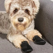 Zapatos de malla transpirable para perros, botas ajustables antideslizantes para mascotas, adecuados para perros pequeños, uso de verano - Negro - Ver 6