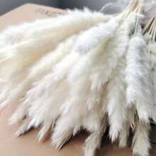 47PCS White Pampas Grass 17in/45cm – Dried Flower Stems For Wedding, Home, Garden, Party, Photography, Vase Decor - 47 PCS - View 1