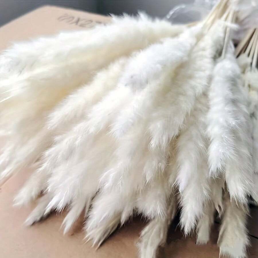 47PCS White Pampas Grass 17in/45cm – Dried Flower Stems For Wedding, Home, Garden, Party, Photography, Vase Decor - 47 PCS - View 1