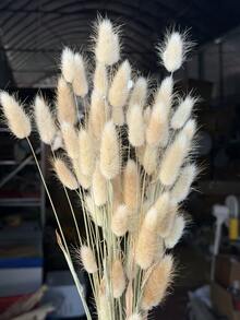 30-240支 44cm 人造仿真兔尾草莖，居家裝飾人造仿真兔尾草莖，適用於波希米亞風格花藝布置、DIY手工藝、居家廚房與婚禮裝飾、聖誕裝飾、感恩節裝飾、DIY花環裝飾 - 原色兔尾草4 - 查看 6