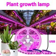 1入 LED 燈條 USB 植物生長燈，智慧燈條，全光譜蔬菜花卉多肉植物補光燈，輔助植物光合作用，USB 供電，使用方便 - 紫色 - 查看 9